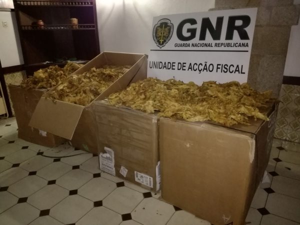GNR UAF - Apreensão de tabaco