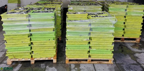 GNR UCC - Apreensão