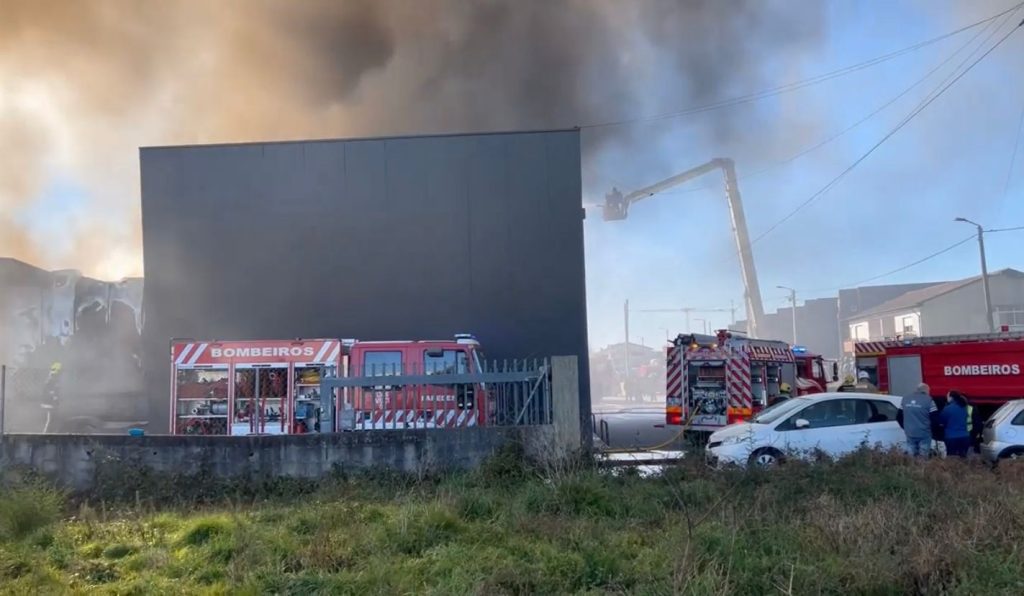 WhatsApp Image 2023-02-01 at 15.37.35