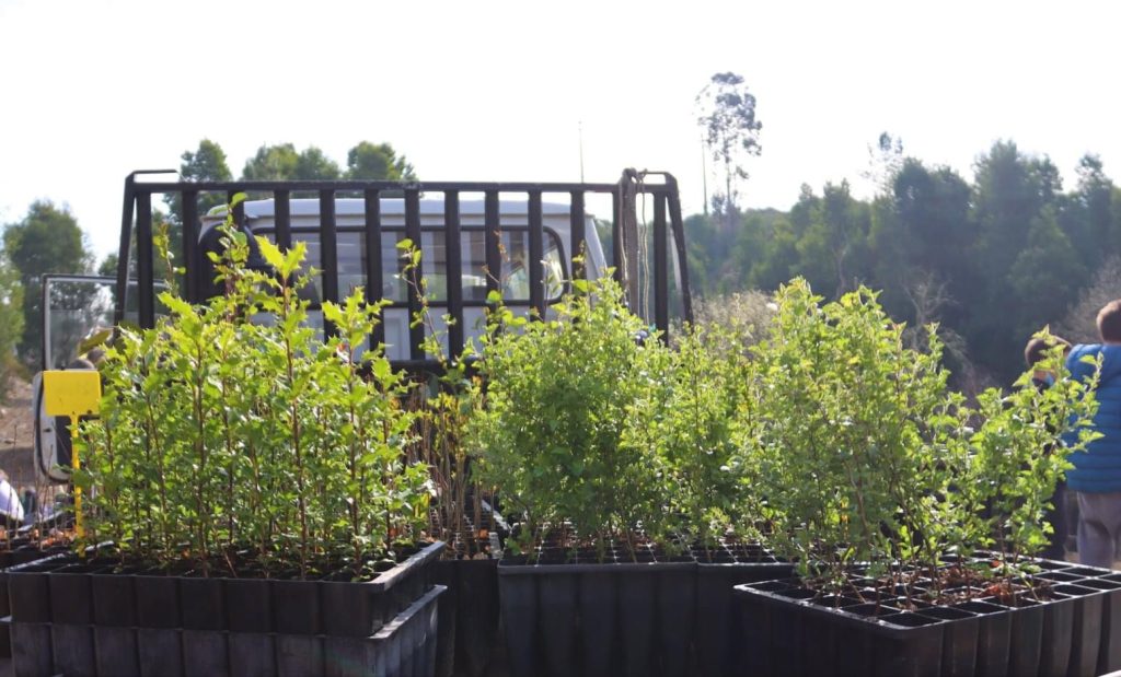 WhatsApp Image 2023-02-01 at 17.26.00