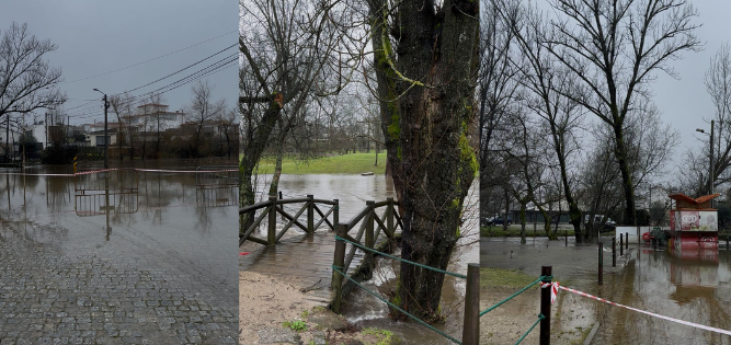 O FUTURO ESTÁ NAS SUAS MÃOS (9)