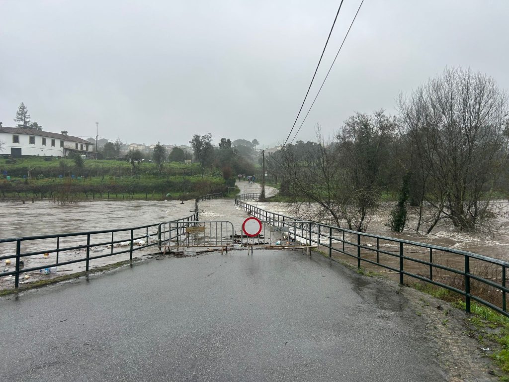 WhatsApp Image 2026-02-10 at 17.34.21