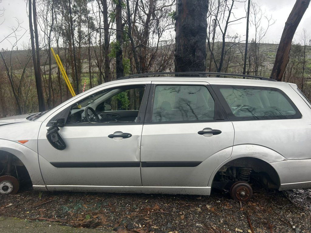 WhatsApp Image 2026-02-10 at 17.43.06