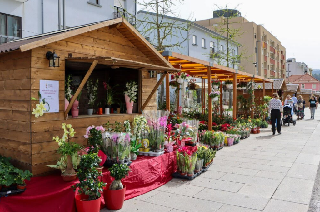 Captura de ecrã 2026-03-12 121606