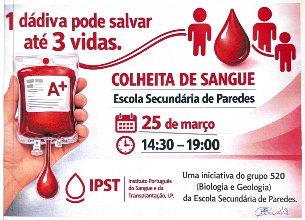 WhatsApp Image 2026-03-19 at 13.08.35