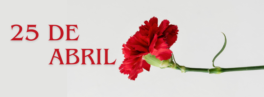 Capa para Facebook dermatrologista orgânica neutra (12)