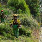 Incêndios: Paredes aposta na prevenção e GNR alerta para negligência