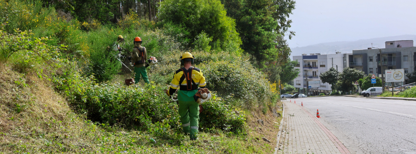 Capa para Facebook dermatrologista orgânica neutra (36)