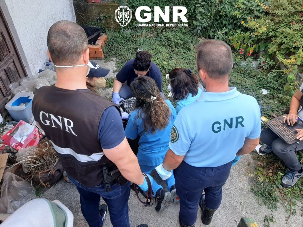 GNR Porto - Maus Tratos a animais companhia