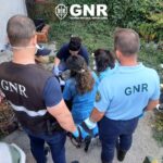 Crime de Morte e maus tratos a animais de companhia em Vila Nova de Gaia