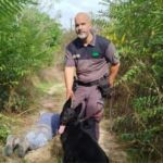 Homem de 78 anos desaparecido em Amarante localizado com vida por equipa cinotécnica